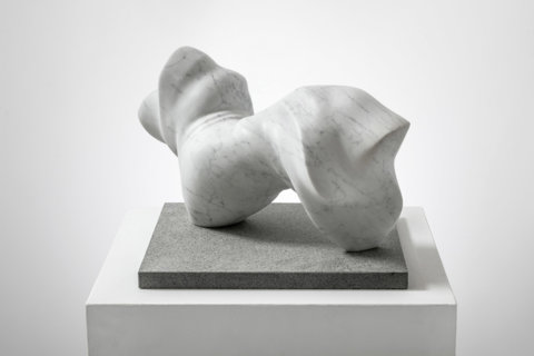 Sculpting for advanced students I